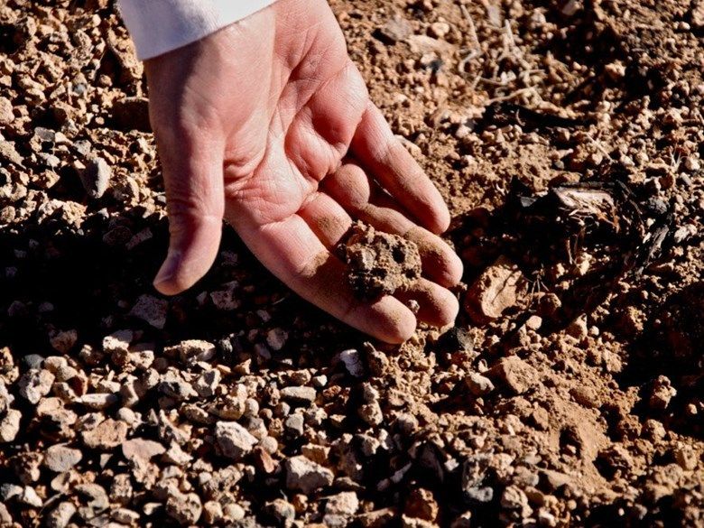 Burned soil UCMerced