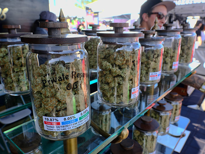 Cannabis Jars Display 2017 AP P