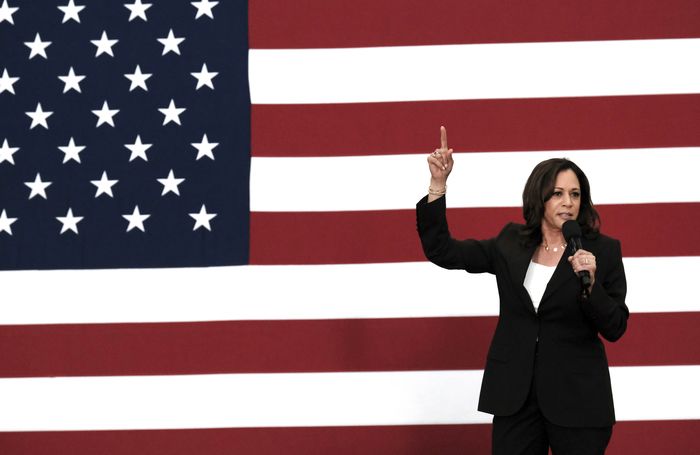 Kamala Harris flag AP May 2019