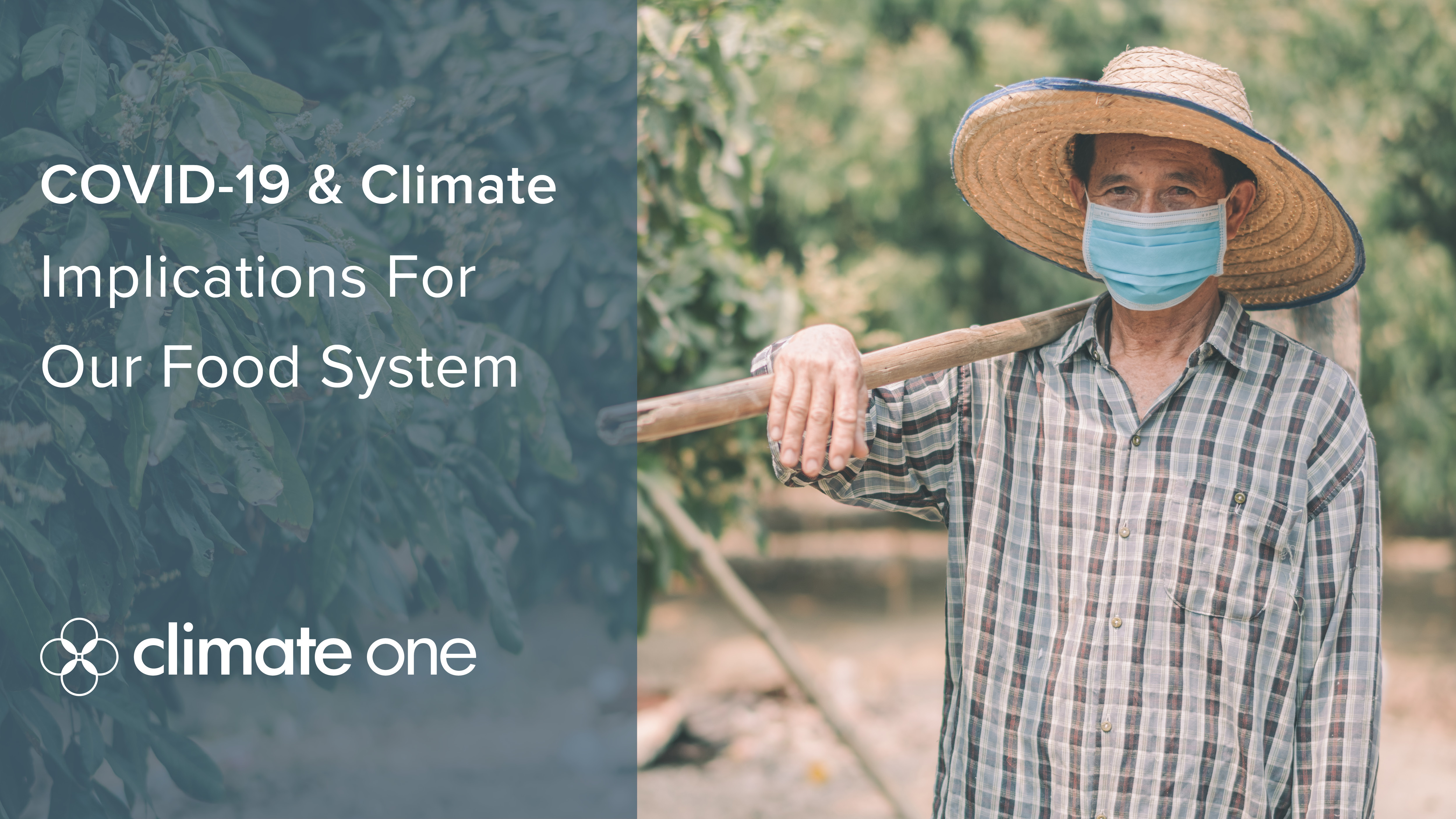 Radio COVID and Food