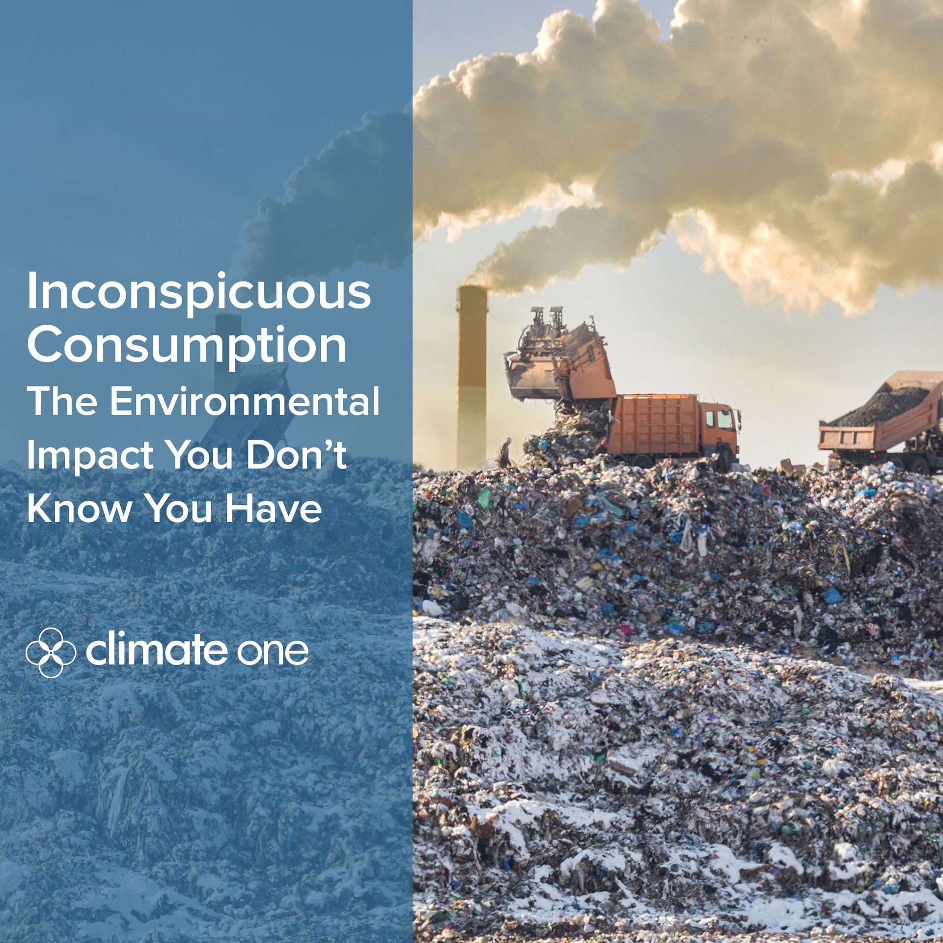 Twitter Inconspicuous Consumption