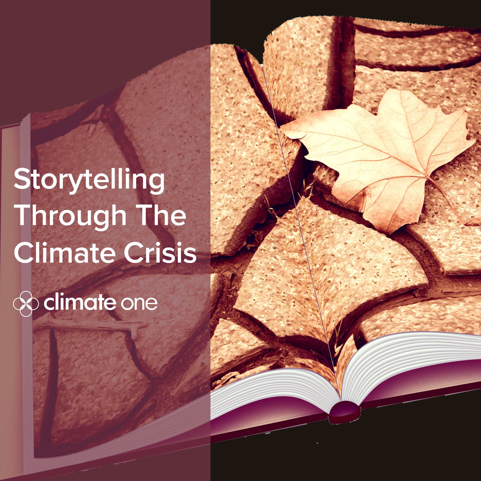 TwitterRadio Storytelling through the Climate Crisis