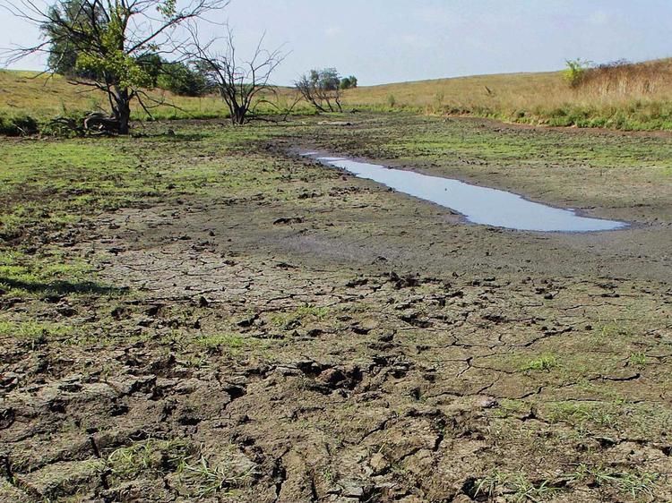 ap 17027739918816 87d88a172ec5eb960be74f12e72896bb2acdb1f4 s1600 c85