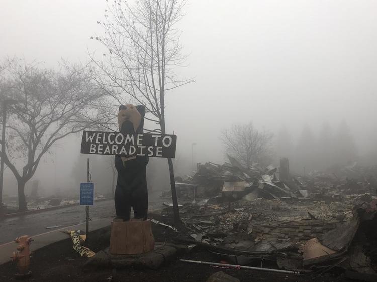 bobbyallynbearadise 59c1a0b1216729e3eb0cfecb729d88656ff1287f