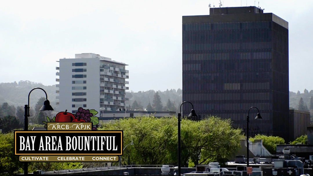 Bay Area Bountiful: Finding Home