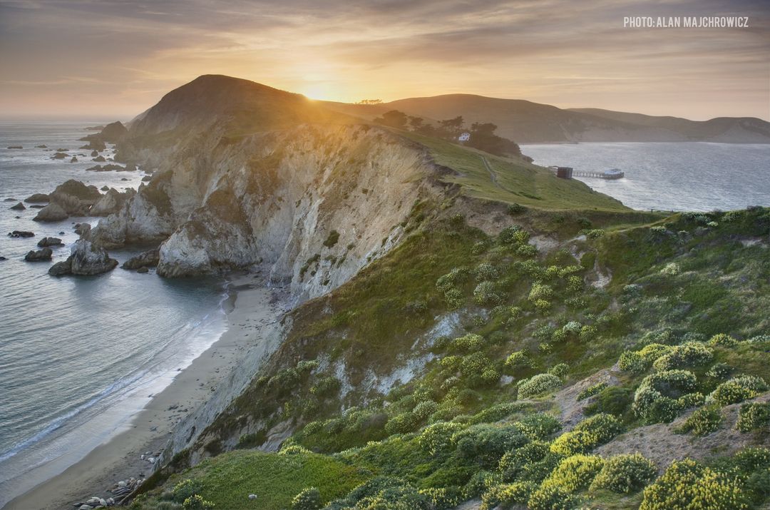 Rebels with a Cause…