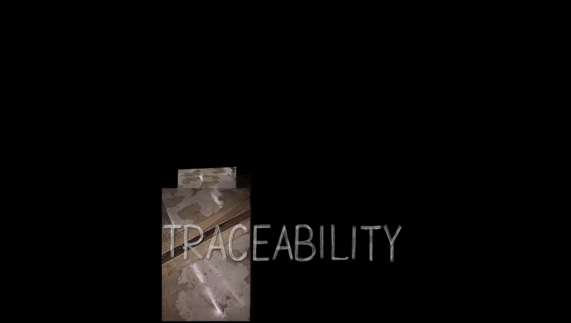 Lexicon of Sustainability - Traceability