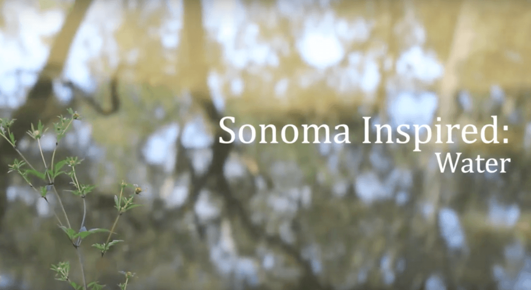 Sonoma Inspired: Water
