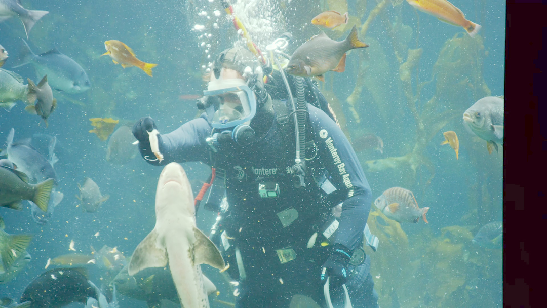 Scientists to the Rescue