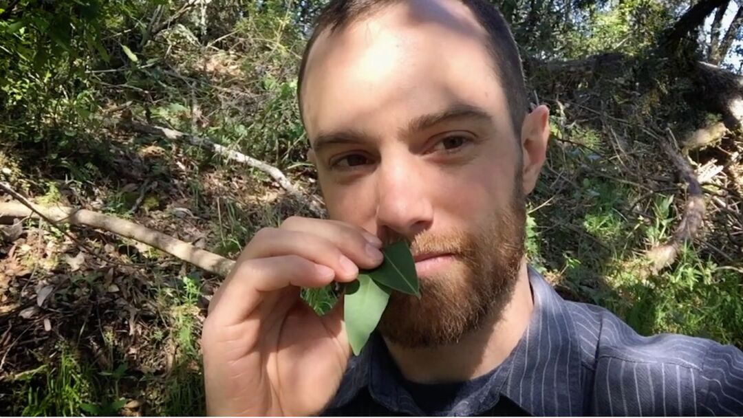 Minute with Matt: Bay Laurel 