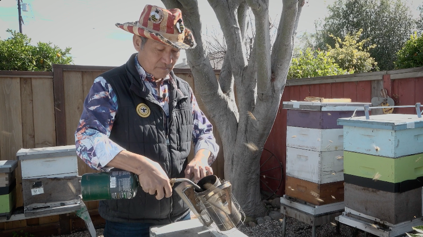 Bay Area Bountiful: Sung Lee "The Bee Charmer"