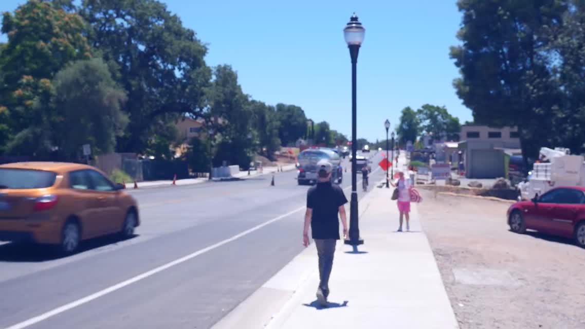Extreme Heat: Tree Planting